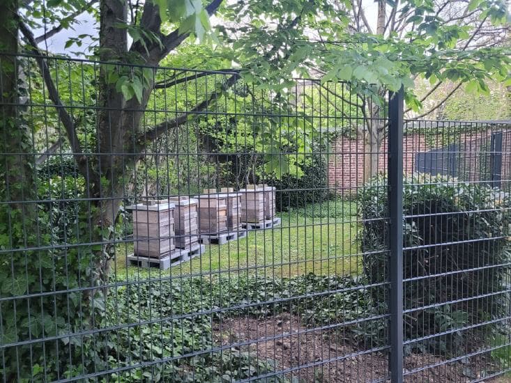NRW.BANK Bienenstand 4