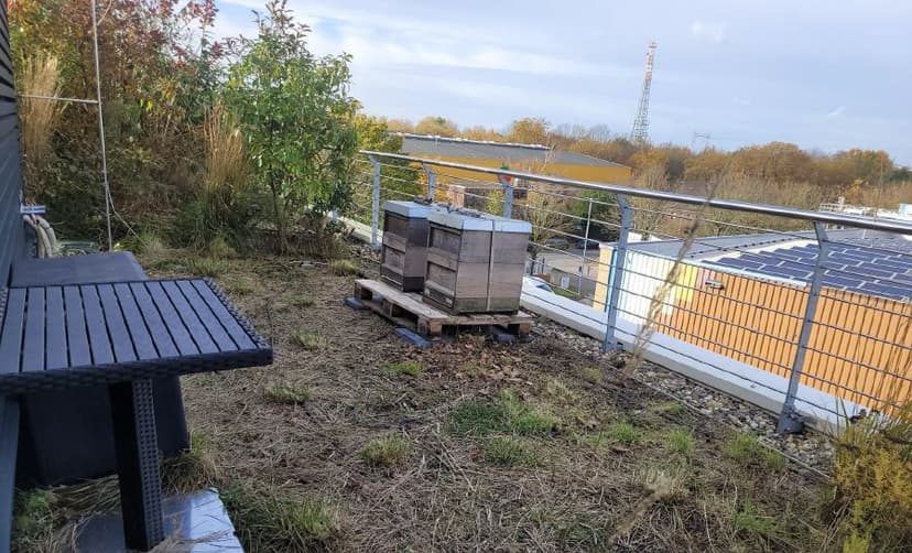 Ranger Bienenstand 3