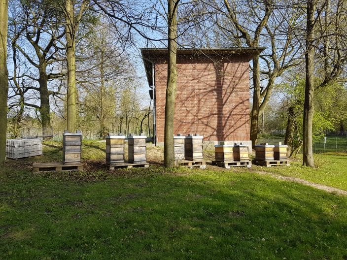 Bienenstand Düsseldorf-Stockum