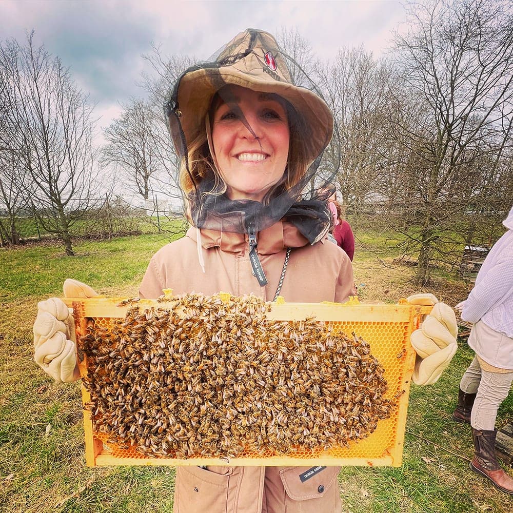 Bienenpatenschaft — Bienen am Düsseldorfer Bienenstand
