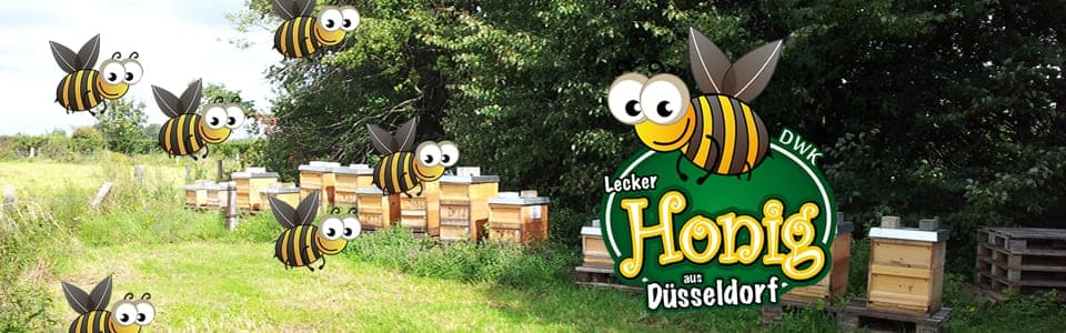 Bienenstand Düsseldorf-Itter — Hauptstandort am Rhein